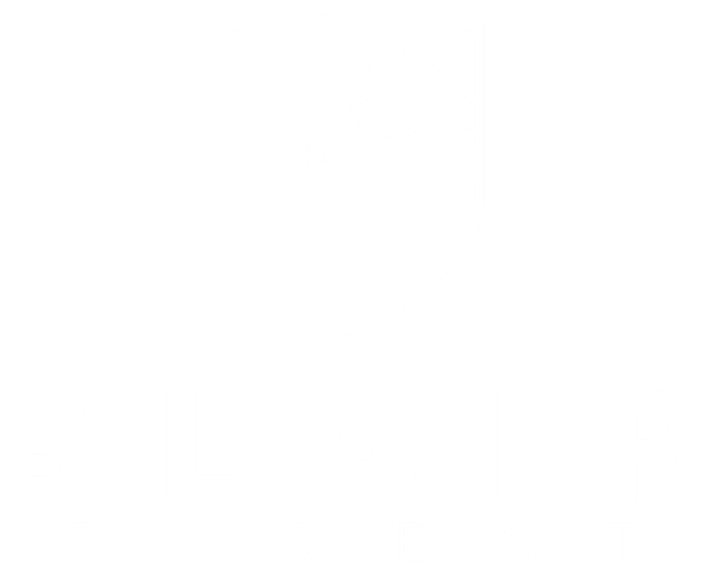 Blair Forest